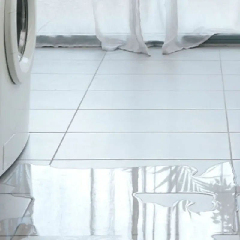 Appliance Leak Cleanup in Hamlet, NC
