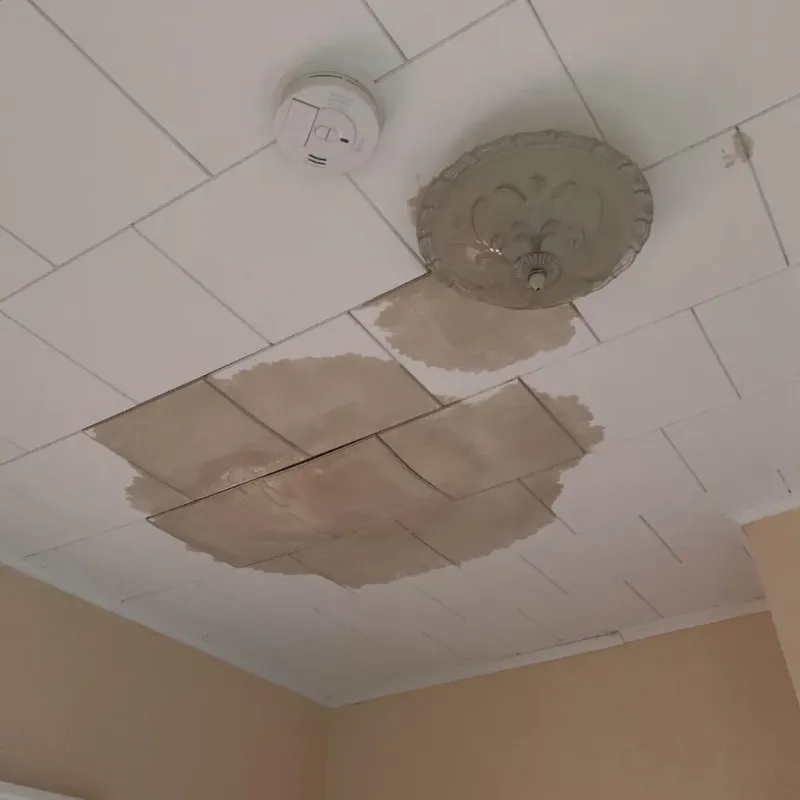 Ceiling Water Damage Repair in Hamlet, NC