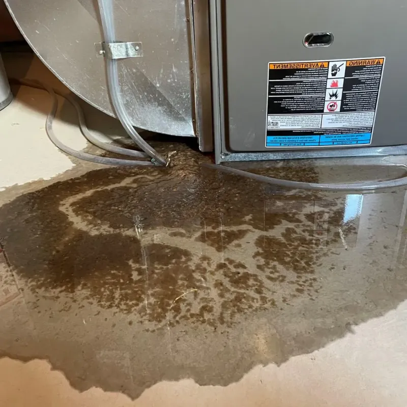 Pipe Burst and Leak Restoration in Hamlet, NC