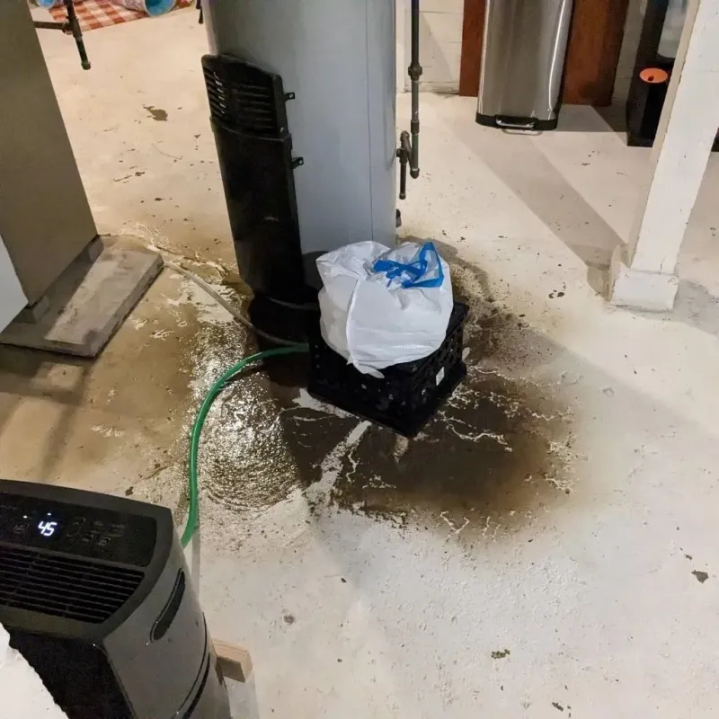 Sewage Backup Cleanup Service in Hamlet, NC